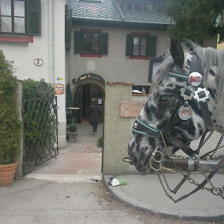 Haus Wartenberg Salzburg Ngoại thất bức ảnh